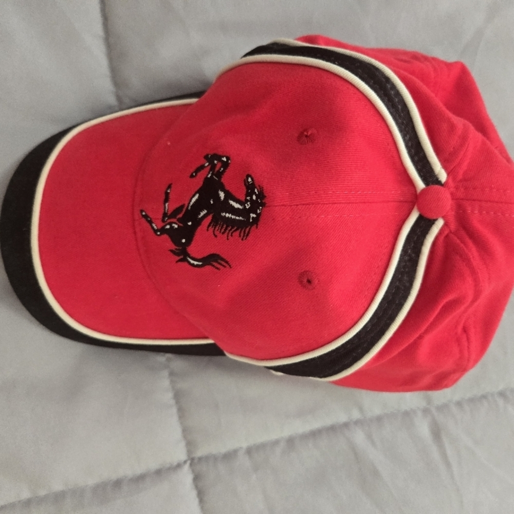 Ferrari Red and Black Men's Hat